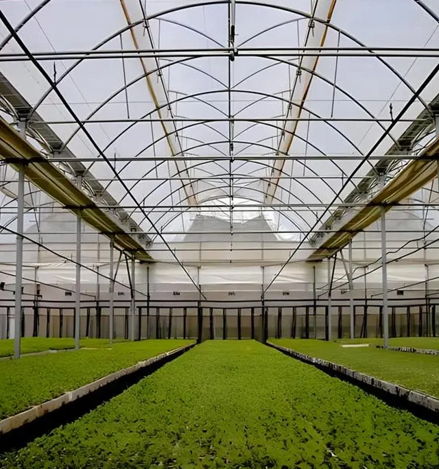 温室ガラスのブログとダウンロード