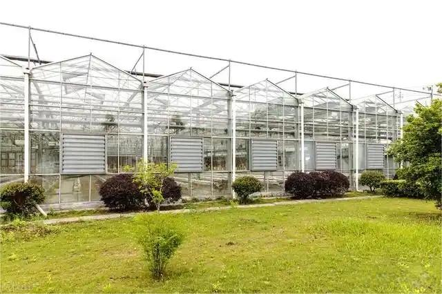 The Advantages Of Applying Glass Greenhouse Technology To Modern Agriculture The Advantages Of Applying Glass Greenhouse Technology To Modern Agriculture