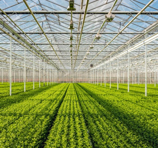 温室ガラスパネル