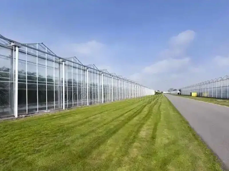 インテリジェントガラス温室の利点の分析